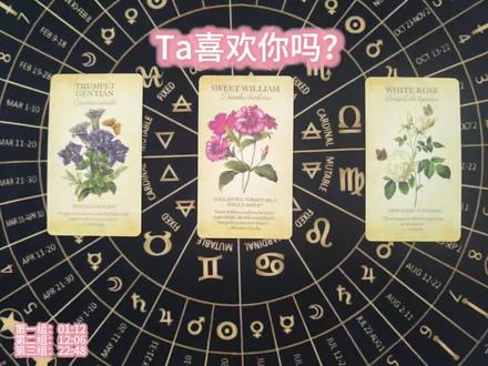 Ta喜欢你吗?#初恋#爱情#塔罗#前任#暗恋