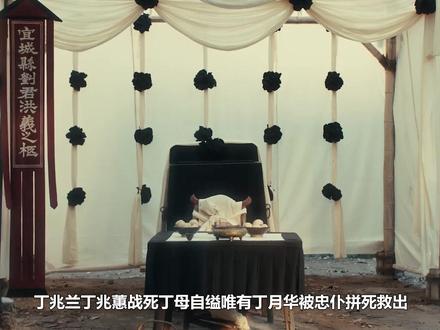 原来掌月使就是丁月华!难怪面纱遮面,藏身寒水宫目的曝光 #雨霖铃 #杨洋 #展昭 #张予曦 #章若楠