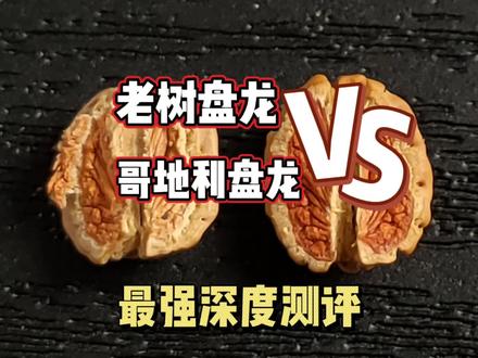 什么才是一代盘龙?最强深度测评,看完给你答案#金刚菩提 #文玩手串 #菩提子