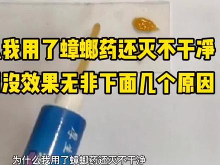为什么我用了蟑螂药还灭不干净,用药后没效果无非下面几个原因#蟑螂药 #蟑螂 #除蟑螂 #灭蟑螂 #蟑螂怎么消灭最彻底