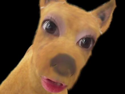 实锤➕1 小杰是爱神 小穆是萌神#王橹杰 #穆祉丞 #杰丞 #271199