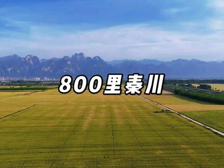 关中大地上的麦子快熟了 #陕西八百里秦川 #中国粮仓 #中国田间 #华山