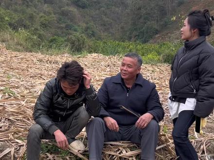 没砍甘蔗的时候怎么不说呀!帮你们砍完50亩甘蔗,你就说没有十万块钱彩礼,不用来找你女儿 #岑海华