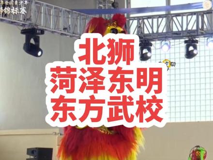 全国南北狮青少年比赛,菏泽东明东方武校北狮,北狮表演#传统文化 #舞狮 #北狮 #武术 #优秀的孩子需要从小培养
