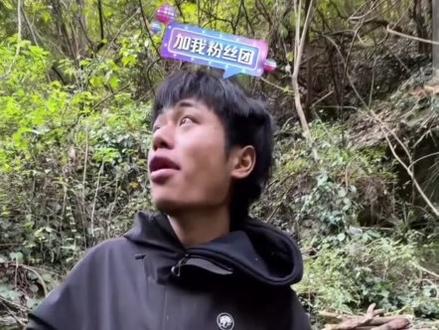 #林北发现山药回去拿工具准备挖 回去后苗王已经在挖了