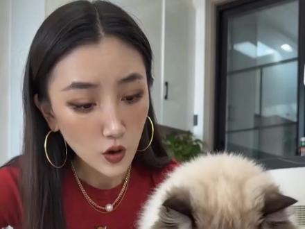 粉丝想看我的猫咪🐱-振华拼明星拼豆海报,Ai帮咱圆梦啦~ 下次想看我们拼啥?继续点菜哦~#seedance #Ai #拼豆 #猫咪 #小云雀