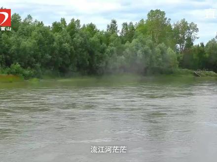 芙蓉小学六一儿童节直播