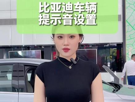 你知道比亚迪怎么调节安全带车辆提示音吗#比亚迪 #新能源 #嘉兴
