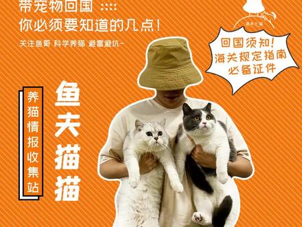 假期如何带宠物回国?#养猫 #养猫日常 #猫咪带我看世界 #带宠物旅行 #宠物回国
