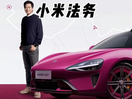 原来翔翔不是退网,而是落网了……#小米 #小米su7