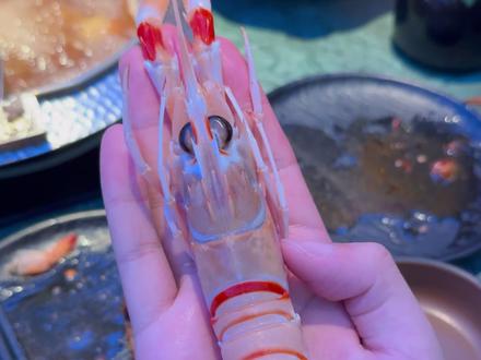 牛new寿喜烧 #美食 #自助 #牛new寿喜烧