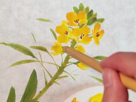 国画油菜花画法 #国画 #国画教程 #画画 #国画油菜花 #一起学画画