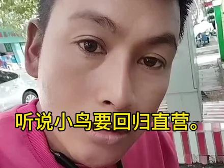 听说小鸟优选直营了。