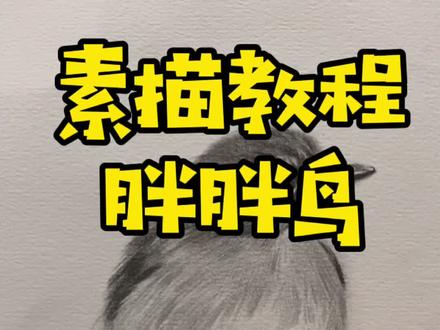 掐指一算该更新了,胖胖鸟送给大家#素描 #画画 #来支铅笔素描系列教程 @DOU+小助手