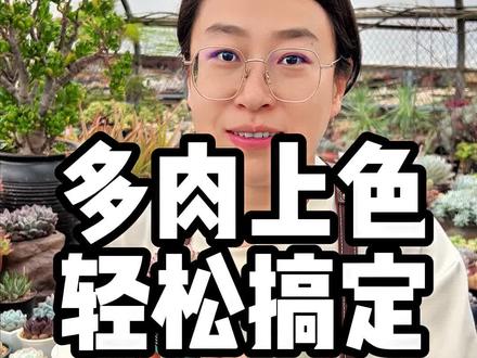 控养多肉#多肉原产地优选 #多肉 #多肉养护 #多肉用土