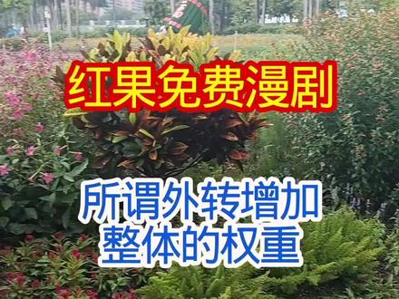 红果免费漫剧,所谓外转增加整体权重,内转增加上限,纯属无稽之谈,自行擦亮眼睛。#当今社会找对象的现状 #当代婚恋观大碰撞 #婚恋市场的奇怪现象 #年青人为啥离开大连 #婚恋行业需要整顿