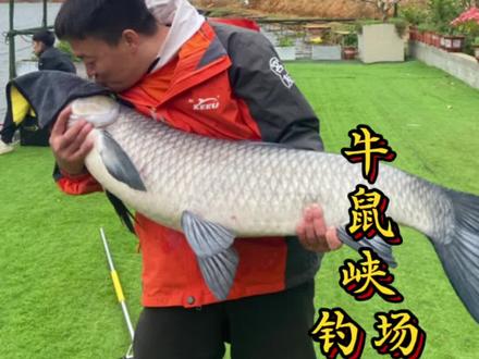 挑战牛鼠峡钓场~
黑漂 扬杆 爆杆 遛鱼 合影 插杆……#原来钓鱼才是抖音运动顶流 #每个钓鱼人都有个百斤巨物梦 #这鱼哪个钓友看了不羡慕 #钓鱼人就是这么疯狂