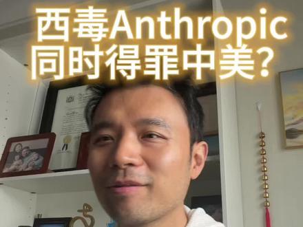 西毒Anthropic是同时得罪中美政府了? #anthro 西毒Anthropic是同时得罪中美政府了? #anthropic #claude #openai #xai #pltr