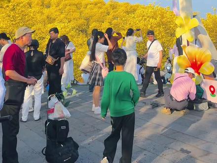 这里是2026年3月1日的南宁青秀山,太美了👏#风铃花 #花海 #太美了 #青秀山风铃谷 #南宁打卡圣地