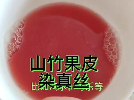 山竹果壳别扔啦!跟豹哥一起染布吧!#染料植物 ##植物染 #草木染 #新农村计划2022 #非遗