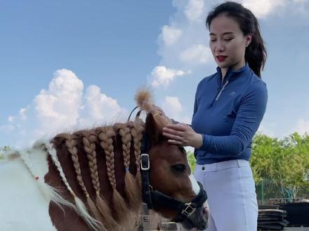 脾气火爆的小矮马不满意发型后#马#张大琪与尼寇 #宠物美容 #野马一队