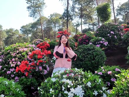 重庆南山放牛村杜鹃园的杜鹃花开得正盛,林间花海,仙气十足,带上最好的朋友,一起去拍照打卡吧!#包子爱生活 #重庆南山放牛村的杜鹃花开了 #重庆南山 #南山放牛村 #南山放牛村杜鹃花 #杜鹃花海 #重庆周末好去处 #重庆周末带娃好去处 #约会圣地 #拍照打卡圣地 #花海遇见你 #重庆dou知道 #重庆美好推荐官 #重庆旅游攻略