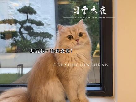 可爱的339又来啦!#囚于永夜 #有声剧#漫播