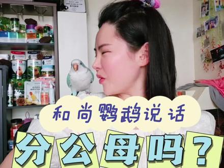和尚鹦鹉只有公的开口说话?公的语言能力更强嘛?#养鹦鹉入门教学 #创作者中心 #创作灵感 #萌宠 #动物的迷惑行为