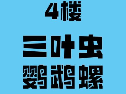 三叶虫+鹦鹉螺@地博导览(点关注,不迷路) #古生物 #化石 #山西地质博物馆