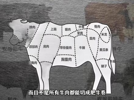 牛肉那么贵,为啥牛肉卷反而便宜?20一斤的肥牛卷能吃吗? #牛肉 #肥牛卷 #美食 #科普