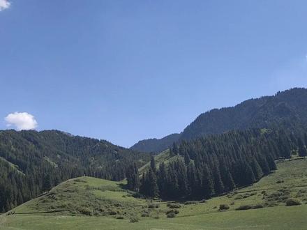 地理的魅力——阴坡阳坡差异显著👏#天山