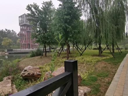 济南华山至白泉《绿廊漫步公园》的雨后清晨