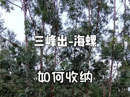 三峰出-海螺,收纳教程。#户外装备 #帐篷 #露营 #帐篷收纳