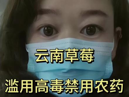 通报曝光!云南草莓滥用高毒禁药,从种植到检测全链条失守#食品安全 #毒草莓