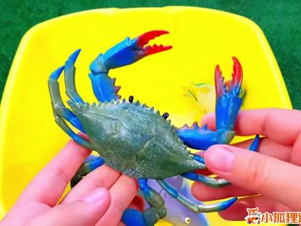 大象、狮子、鸡、小猫、青蛙是怎么叫的呢?