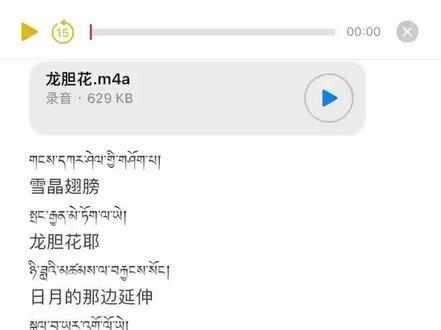 #录音 #唱歌 @抖音小助手