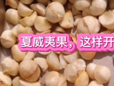 夏威夷果这样开,很简单 #夏威夷果