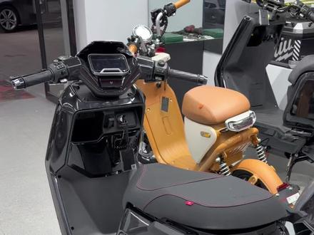 小牛NX风速版本 颜值代表 超大的坐桶 这下没有放不下的换电了吧
#小牛nx风速