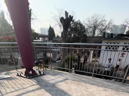 大摆锤第一视角#淘气猫 @南阳淘气猫游乐园推荐官