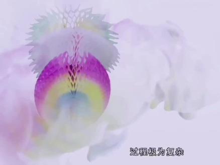 带你撩开福州非遗郭氏纸翻花,郭氏七十二变的神秘面纱 #郭远峰 #纸翻花廖静莹 #非遗文化 #郭氏纸翻花 #郭氏七十二变 #80后90后的回忆