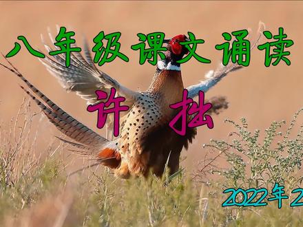 八下-7-《大雁归来》诵读 #课文朗读