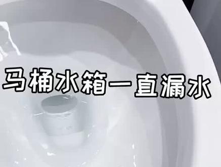 马桶水箱一直漏水,检查这三个地方!为您解决问题#生活小妙招 #家居小妙招 #生活小技巧