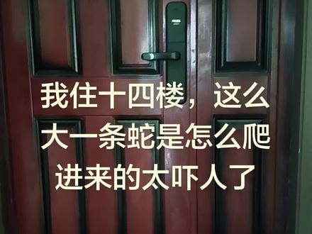 蛇都爬14楼了,住家里不安全了。