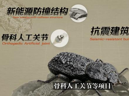 恶魔铁甲虫凭什么被称作地球上的“绝对防御”? #科普一下 #昆虫 #涨知识 #超能力 #知识分享