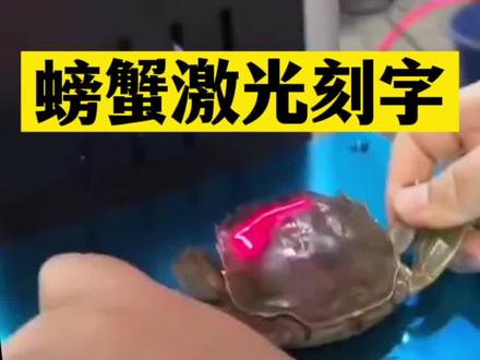 今天我们用螃蟹激光打标机在螃蟹、龙虾、王八,上面雕刻文字商标Logo。我们是激光雕刻机厂家。#螃蟹激光打标机 #螃蟹激光刻字 #螃蟹激光打标 #龙虾激光刻字 @抖音小助手 @DOU+小助手