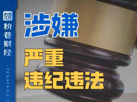 涉嫌严重违纪违法 戴中文接受纪律审查和监察调查
