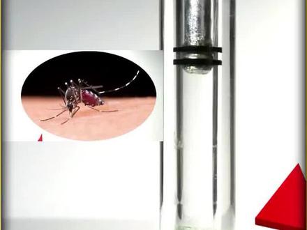 趣味昆虫实验,将蚊子放入空气压缩器中,它会原地爆炸吗?#涨知识 #观察昆虫 #好奇昆虫 #昆虫 #关于昆虫的科普知识 #知识科普 #百科知识 #奇妙的动物 #百亿流量扶持 #昆虫世界 #科普 #奇趣自然 #每天跟我涨知识 #动物百科 #神奇动物在抖音 #异宠 #科学小实验