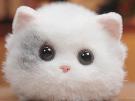 能陪你聊天还能给你带来情绪价值的#walulu电子小猫咪有趣又可爱#电子宠物#电子猫咪#智能宠物