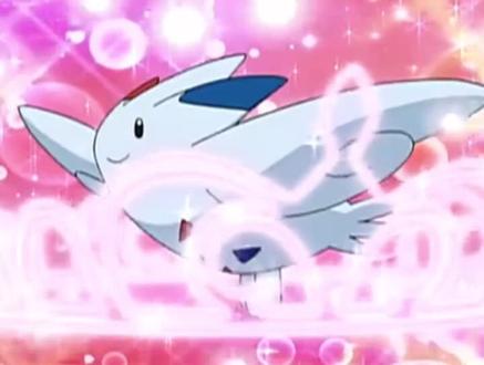 神奇宝贝第三季第165话 :波克基斯飞舞 公主殿下的神奇宝贝华丽大赛#神奇宝贝 #精灵宝可梦 (三)