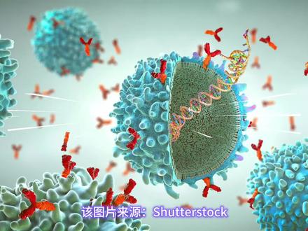艾滋病/埃博拉的死期到了?!顶级神刊曝光病毒“隐藏弱点” 《Nature Communications》刚刚发布史诗级医学突破!科学家研发出“纳米盘”黑科技,能完美模拟细胞膜底座,让艾滋病和埃博拉病毒露出最真实的形态。在这面“照妖镜”下,病毒隐藏千万年的根部致命弱点首次暴露!人类抗体大军得以绕过防御,精准锁喉,一击毙命!这堪称微观世界的完美暗杀,终极疫苗量产倒计时!👇如果艾滋病被攻克,下一个你希望被攻克的绝症是什么?评论区留言!